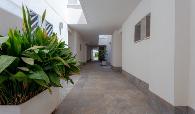 Brukt - Apartment -
Torrevieja - Costa Blanca