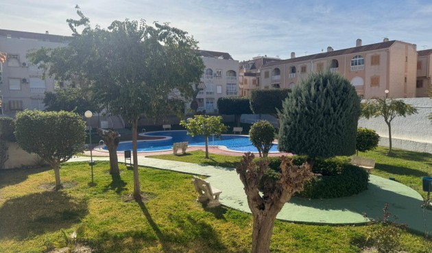 Brukt - Apartment -
Torrevieja - Costa Blanca