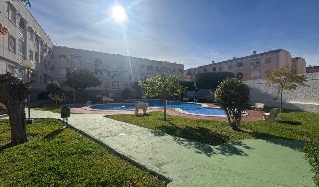 Brukt - Apartment -
Torrevieja - Costa Blanca