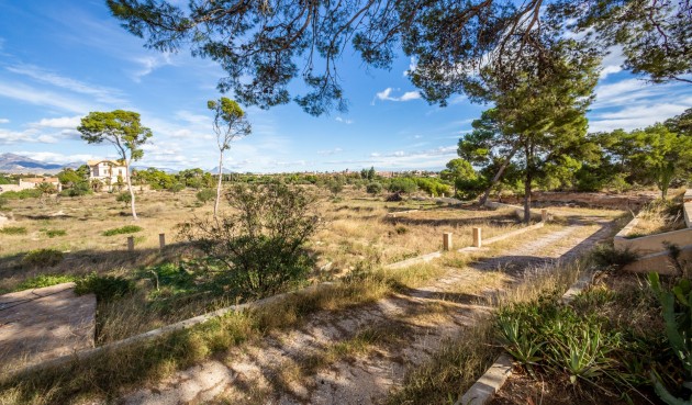 Reventa - Villa -
Alicante - Costa Blanca