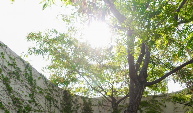 Brukt - Villa -
San Vicente del Raspeig - Inland