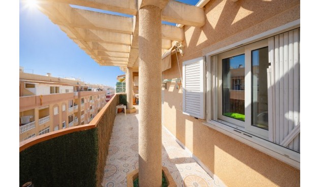 Resale - Apartment -
Torrevieja - Costa Blanca
