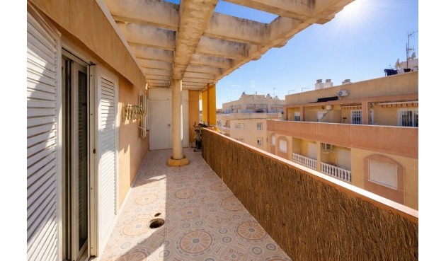 Resale - Apartment -
Torrevieja - Costa Blanca