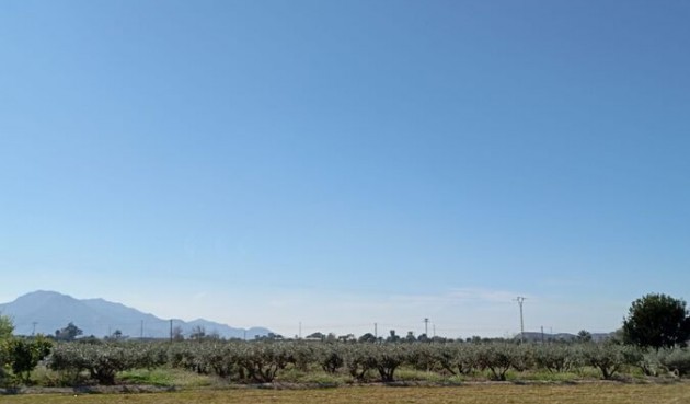 Brukt - Town House -
Catral - Costa Blanca