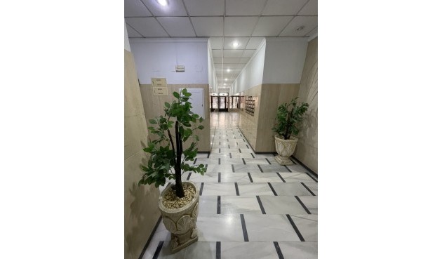 Brukt - Toppleilighet -
Torrevieja - Playa de cura