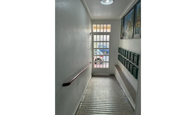 Brukt - Apartment -
Torrevieja - Centro