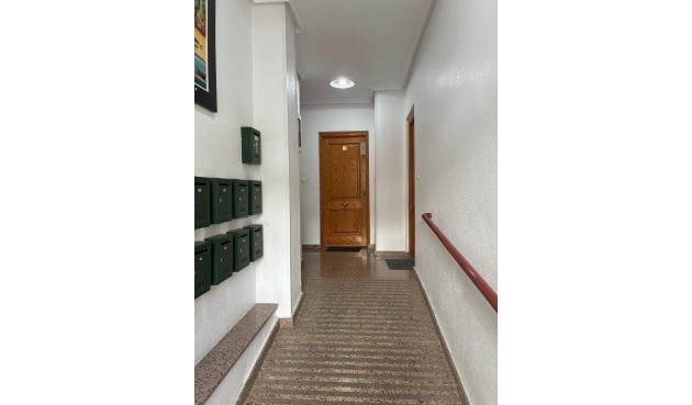 Brukt - Apartment -
Torrevieja - Centro