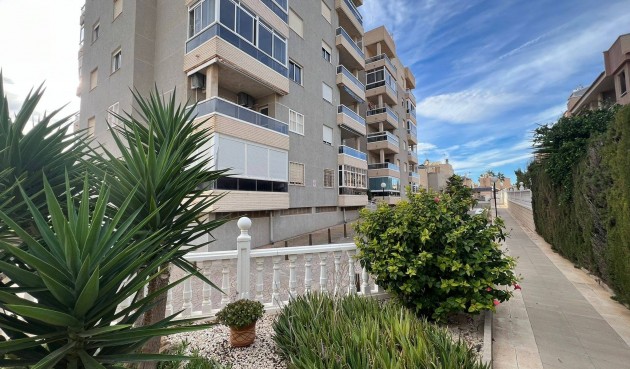 Brukt - Apartment -
Torrevieja - aguas nuevas
