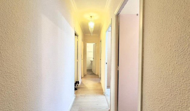 Brukt - Apartment -
Torrevieja - Centro