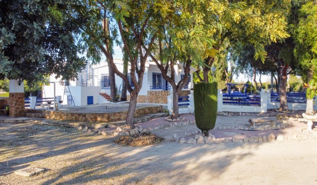 Brukt - Villa -
Orihuela