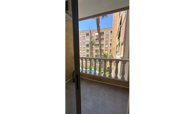 Reventa - Apartment -
Torrevieja - Centro