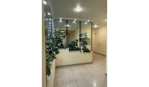 Brukt - Apartment -
Torrevieja - Costa Blanca