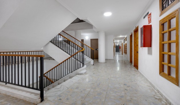 Brukt - Apartment -
Torrevieja - Costa Blanca