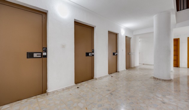 Brukt - Apartment -
Torrevieja - Costa Blanca