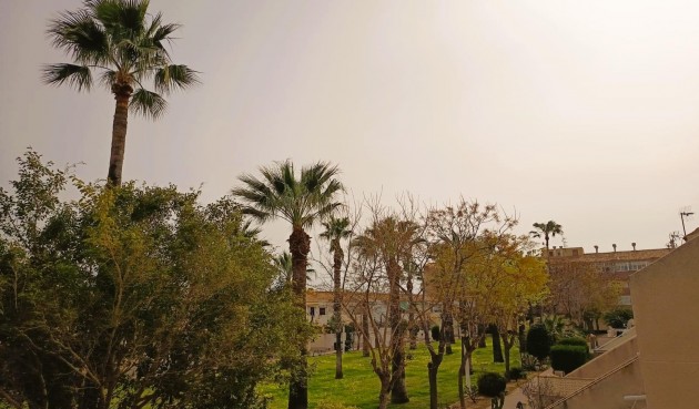 Brukt - Apartment -
Orihuela Costa - Costa Blanca