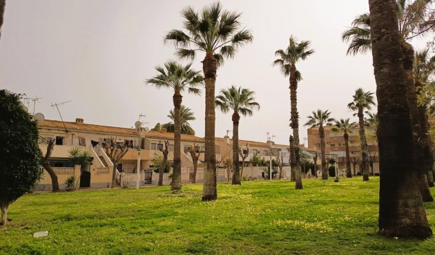 Brukt - Apartment -
Orihuela Costa - Costa Blanca