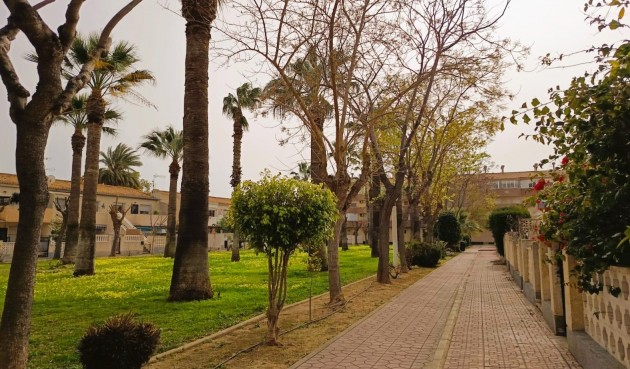 Brukt - Apartment -
Orihuela Costa - Costa Blanca