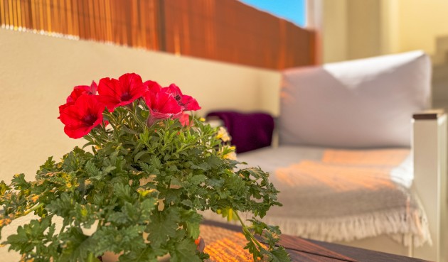 Brukt - Bungalow -
Los Altos - Costa Blanca