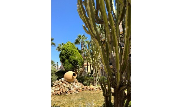 Brukt - Toppleilighet -
Torrevieja - Los Frutales