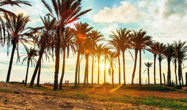 Återförsäljning - Apartment -
Orihuela Costa