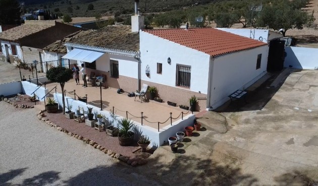 Brukt - Town House -
Yecla - Inland