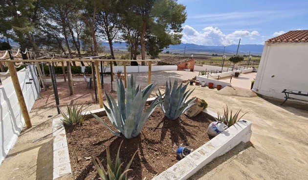 Brukt - Town House -
Yecla - Inland