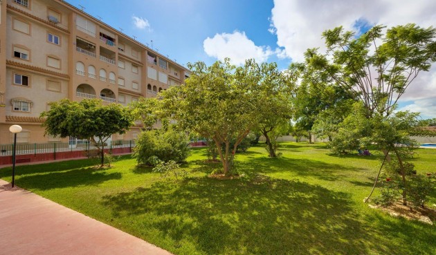 Brukt - Toppleilighet -
Torrevieja - Centro