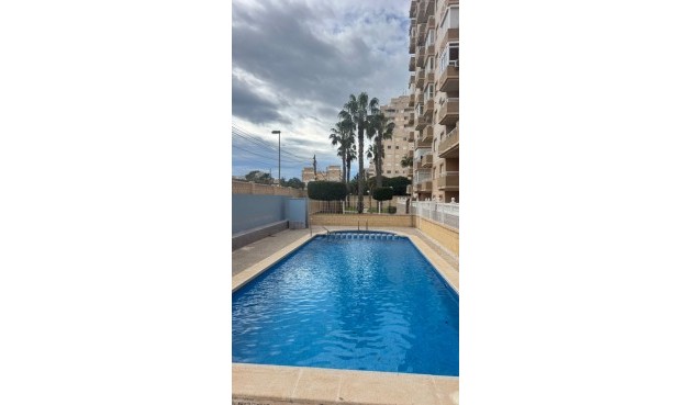 Brukt - Apartment -
Torrevieja - Costa Blanca