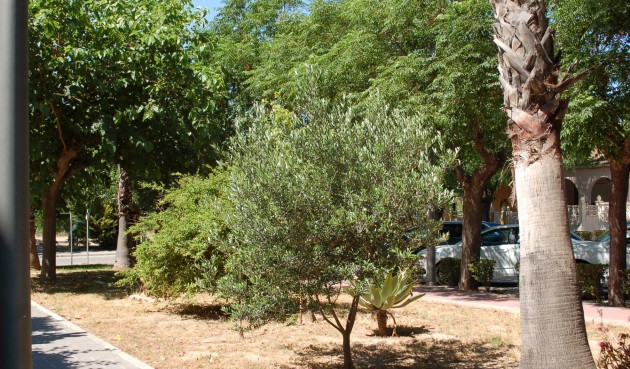 Resale - Town House -
Mil Palmeras - Costa Blanca