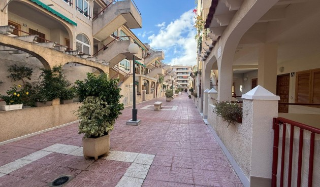 Resale - Apartment -
Torrevieja - Acequion