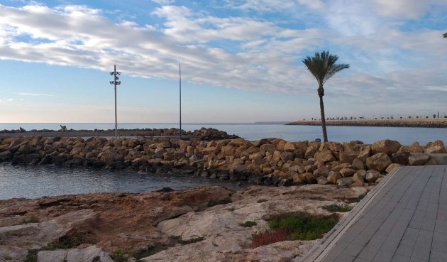 Brukt - Apartment -
Torrevieja - Costa Blanca