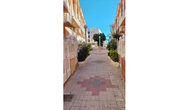 Reventa - Apartment -
Torrevieja - Gaspar Perrelló
