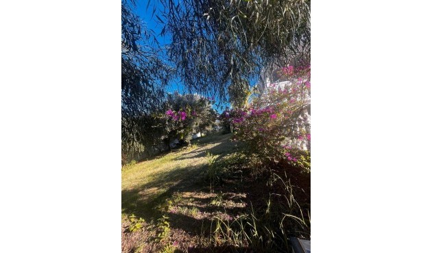 Resale - Villa -
Rojales - La Marquesa