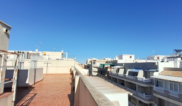 Reventa - Apartment -
Torrevieja - Playa del Cura