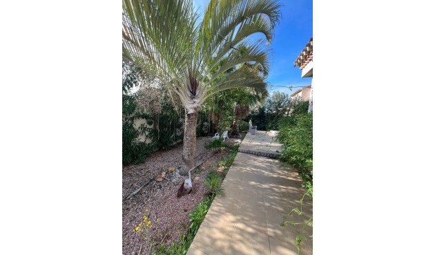 Brukt - Villa -
Playa Flamenca