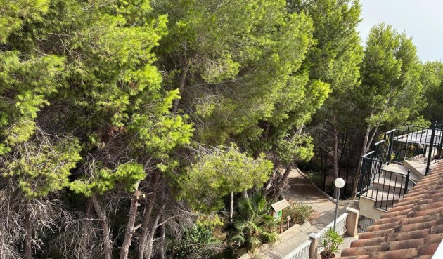 Reventa - Apartment -
Algorfa - Costa Blanca