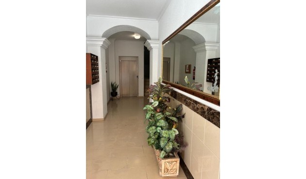 Återförsäljning - Apartment -
Almoradí - Costa Blanca