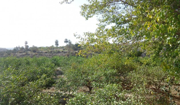 Återförsäljning - Villa -
Abanilla - Inland