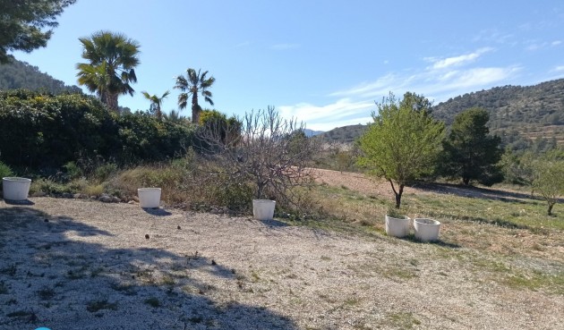 Resale - Villa -
Abanilla