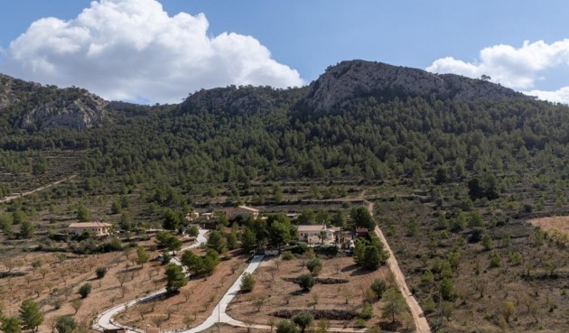 Resale - Villa -
Abanilla