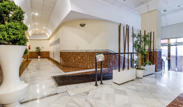 Återförsäljning - Apartment -
Torrevieja - Centro