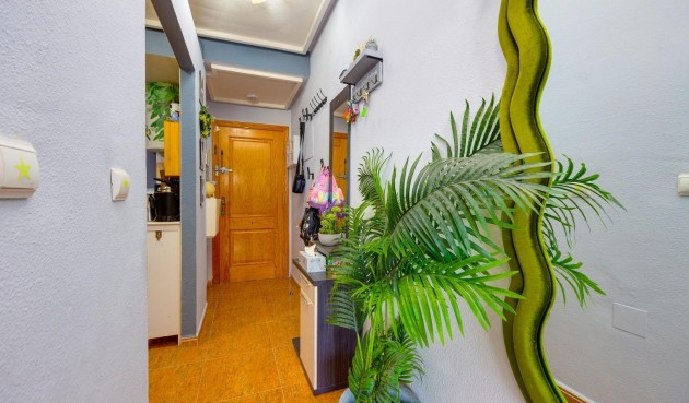 Återförsäljning - Apartment -
Torrevieja - Centro