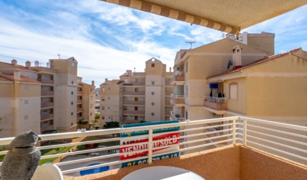 Återförsäljning - Apartment -
Torrevieja - Costa Blanca
