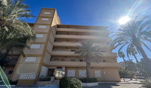 Återförsäljning - Apartment -
Guardamar del Segura - Costa Blanca
