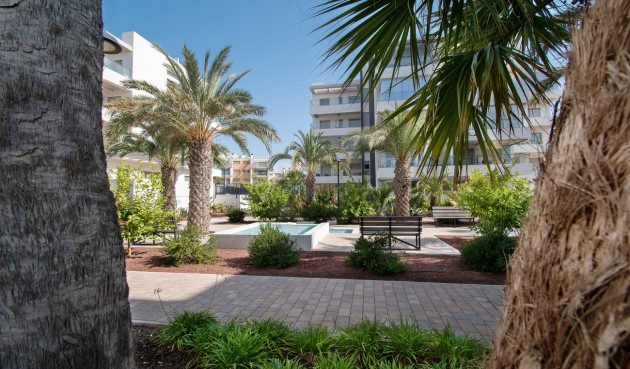 Återförsäljning - Apartment -
Orihuela Costa - Los Dolses