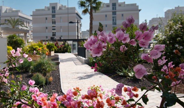 Återförsäljning - Apartment -
Orihuela Costa - Los Dolses