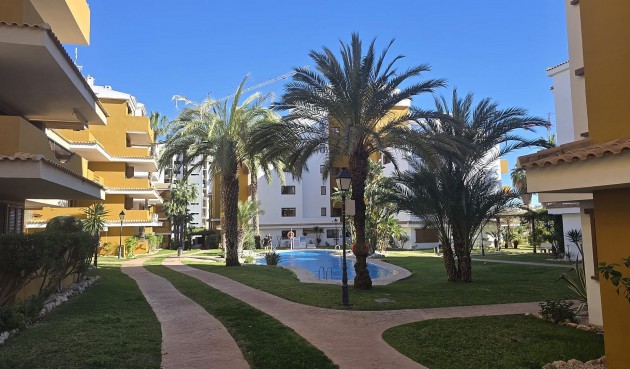 Återförsäljning - Apartment -
Punta Prima - Costa Blanca