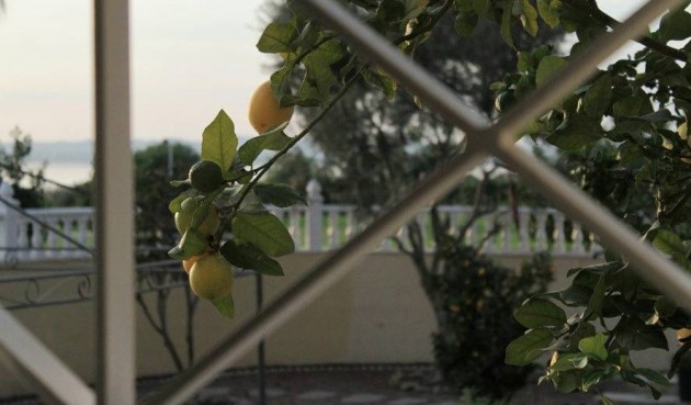Återförsäljning - Villa -
Torrevieja - La Siesta - El Salado - Torreta