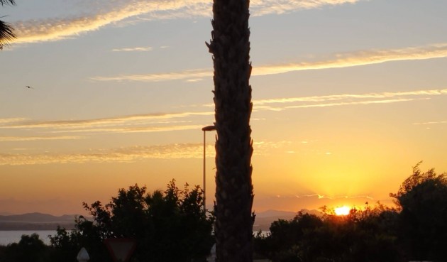 Återförsäljning - Villa -
Torrevieja - La Siesta - El Salado - Torreta