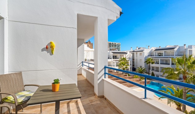 Återförsäljning - Apartment -
Torrevieja - Costa Blanca